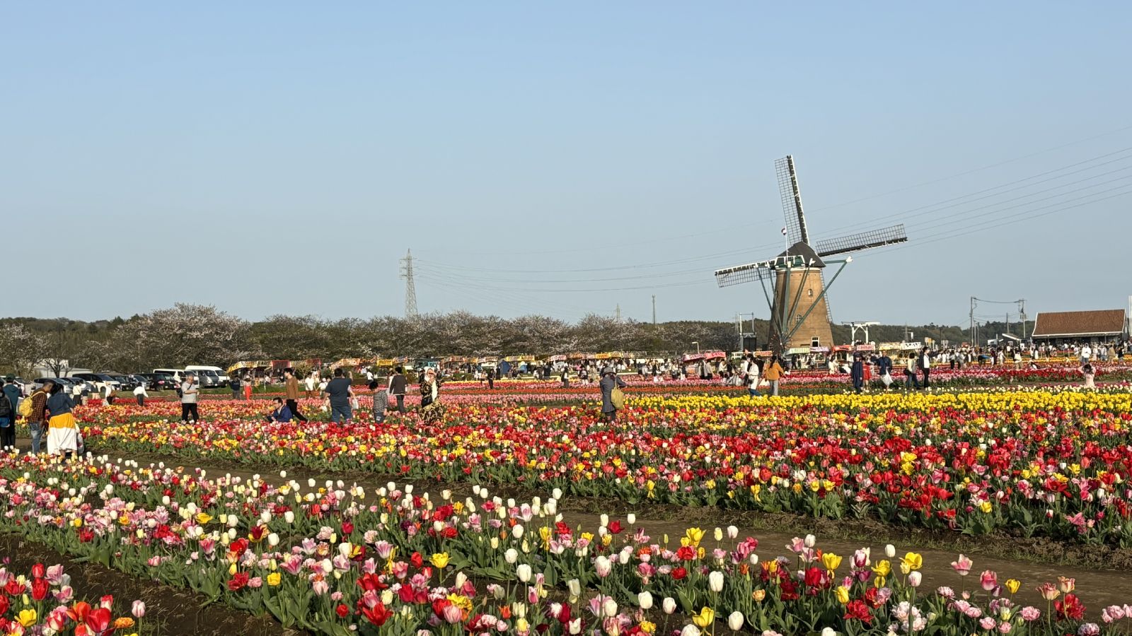 佐倉ふるさと広場